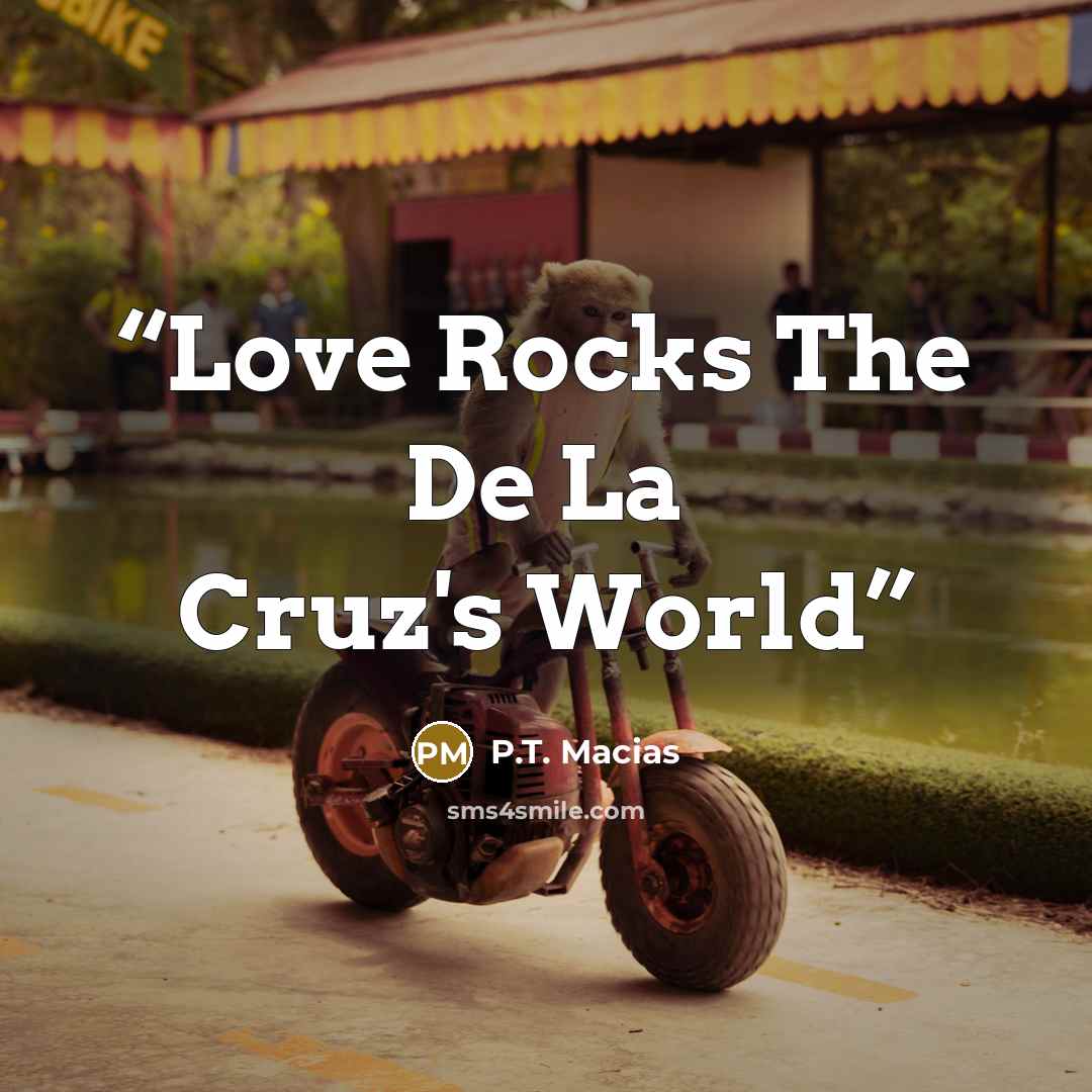 “Love Rocks The De La Cruz's World” quote by P.T. Macias