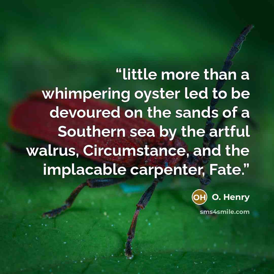 “little more than a whimpering oyster led to be devoured on the sands of a Southern sea by the artful walrus, Circumstance, and the implacable carpenter, Fate.” quote by O. Henry