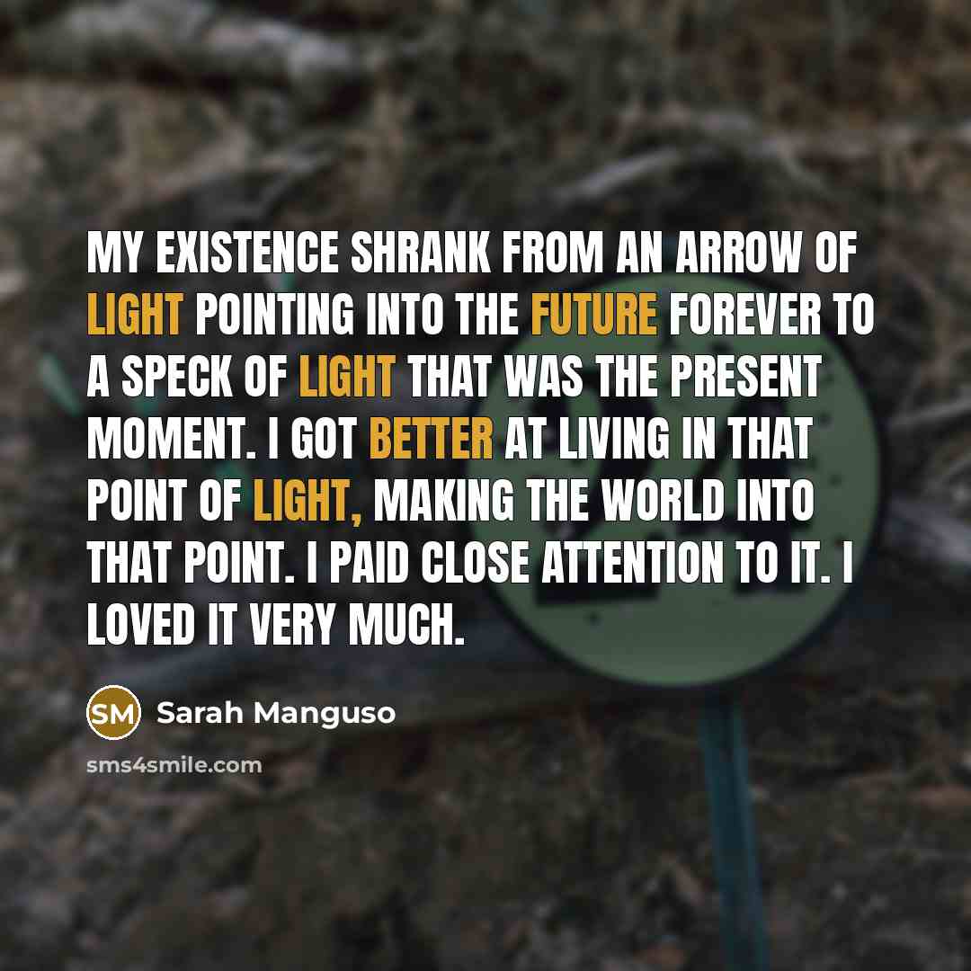 “My existence shrank from an arrow of light pointing into the future forever to a speck of light that was the present moment. I got better at living in that point of light, making the world into that point. I paid close attention to it. I loved it very much.” quote by Sarah Manguso