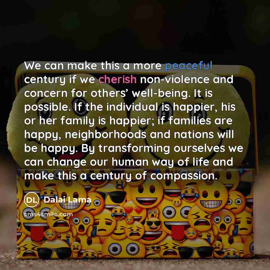 “We can make this a more peaceful century if we cherish non-violence and concern for others’ well-being. It is possible. If the individual is happier, his or her family is happier; if families are happy, neighborhoods and nations will be happy. By transforming ourselves we can change our human way…” quote by Dalai Lama