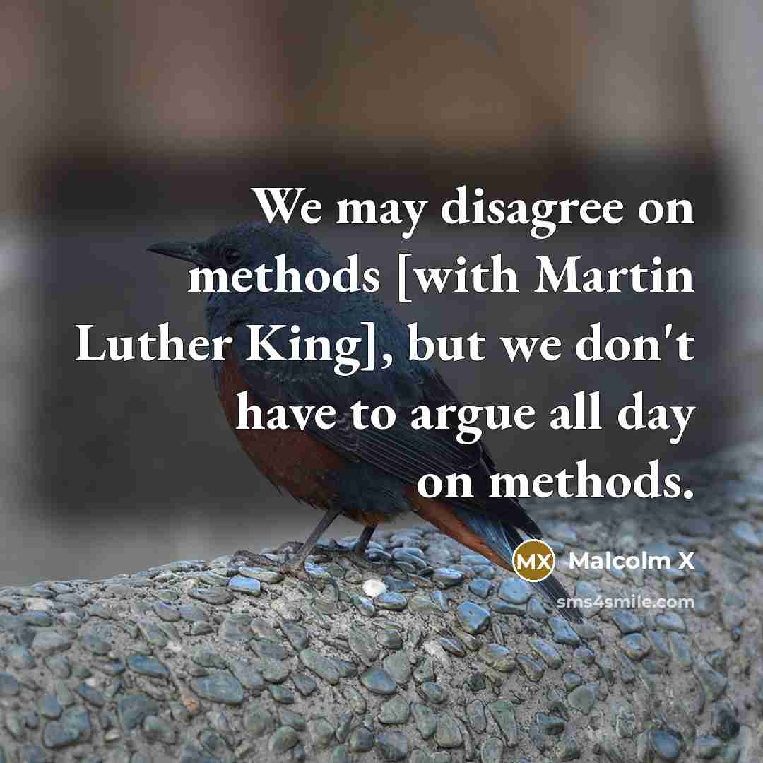 “We may disagree on methods [with Martin Luther King], but we don't have to argue all day on methods.” quote by Malcolm X