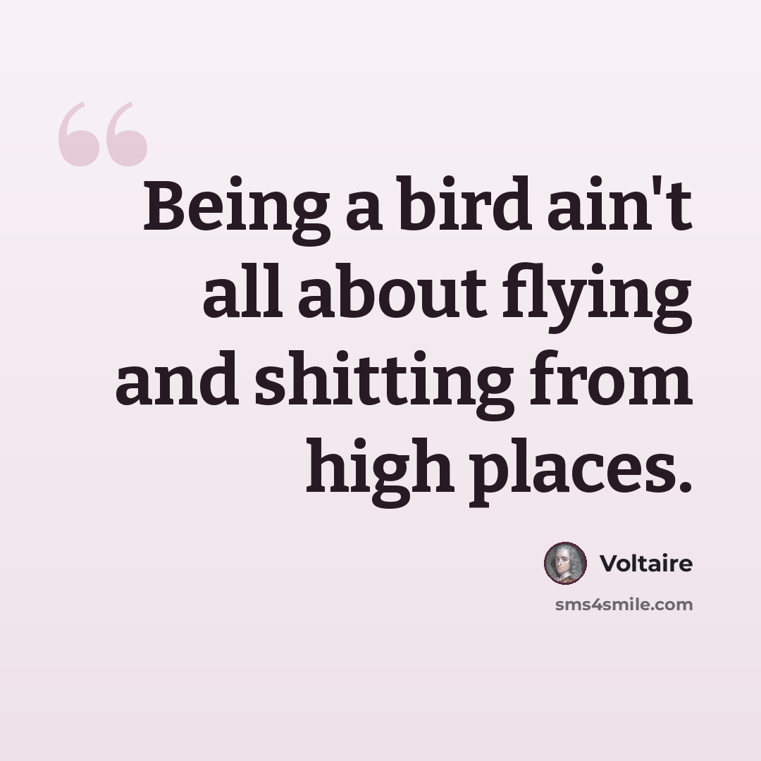 “Being a bird ain't all about flying and shitting from high places.” quote by Voltaire