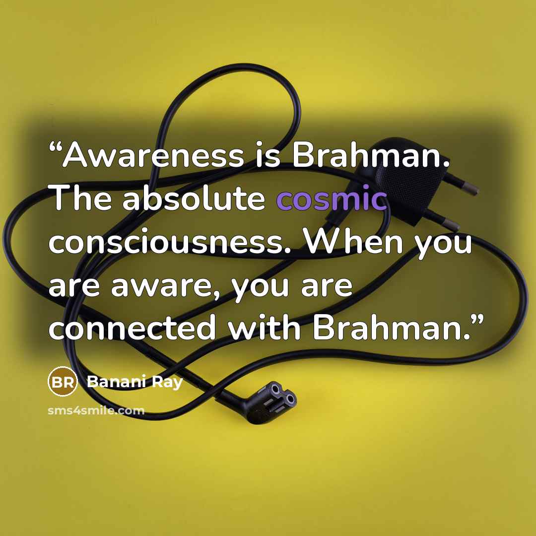 “Awareness is Brahman. The absolute cosmic consciousness. When you are aware, you are connected with Brahman.” quote by Banani Ray