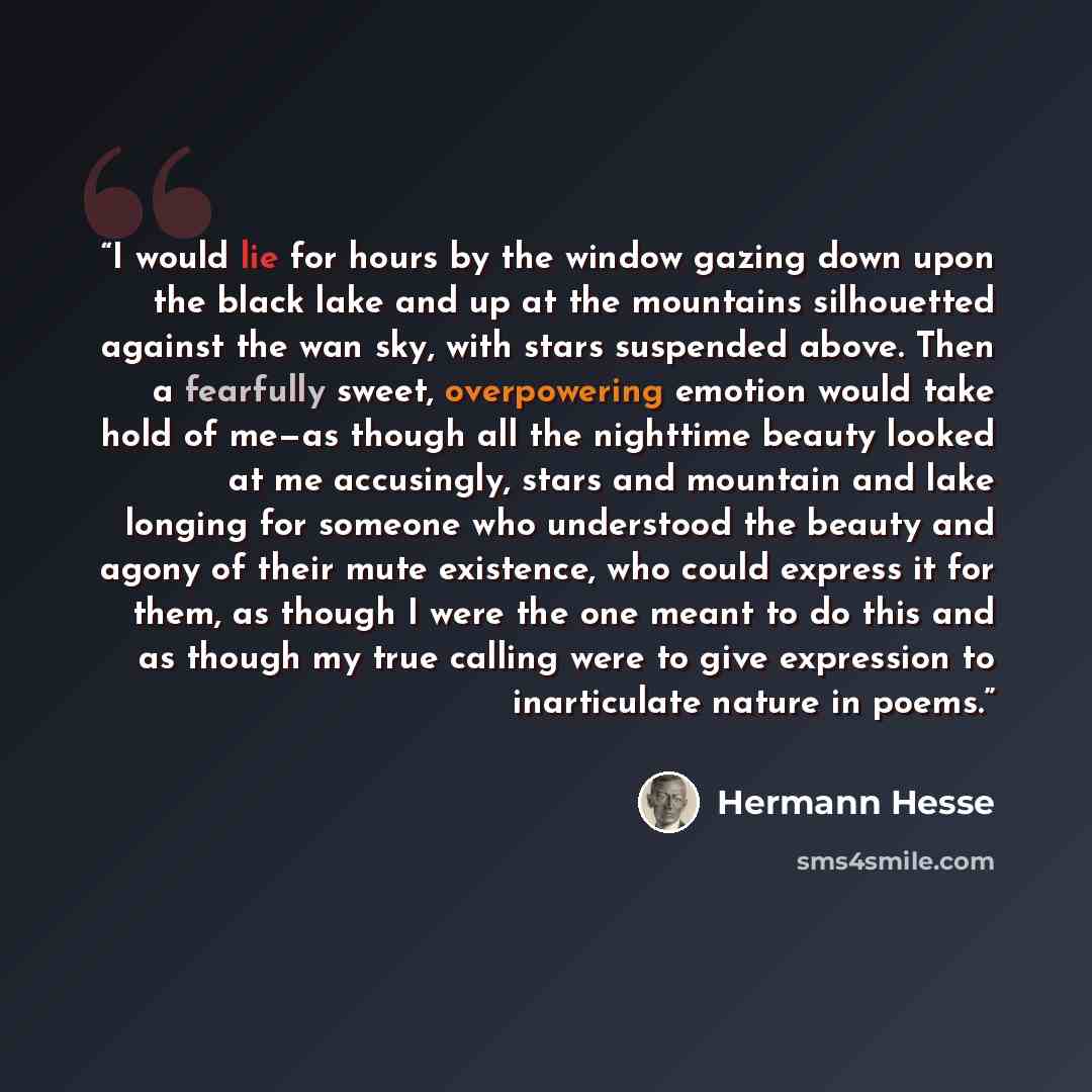 “I would lie for hours by the window gazing down upon the black lake and up at the mountains silhouetted against the wan sky, with stars suspended above. Then a fearfully sweet, overpowering emotion would take hold of me—as though all the nighttime beauty looked at me accusingly, stars and mountain…” quote by Hermann Hesse
