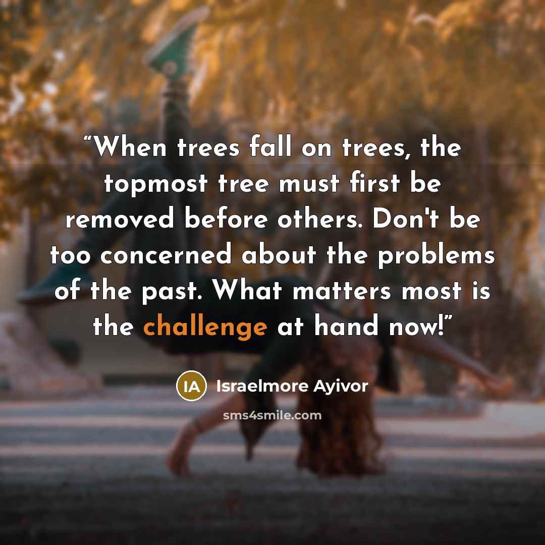 “When trees fall on trees, the topmost tree must first be removed before others. Don't be too concerned about the problems of the past. What matters most is the challenge at hand now!” quote by Israelmore Ayivor