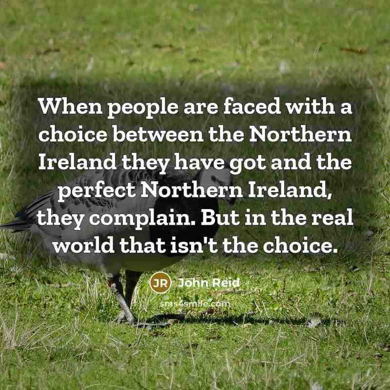 “When people are faced with a choice between the Northern Ireland they have got and the perfect Northern Ireland, they complain. But in the real world that isn't the choice.” quote by John Reid