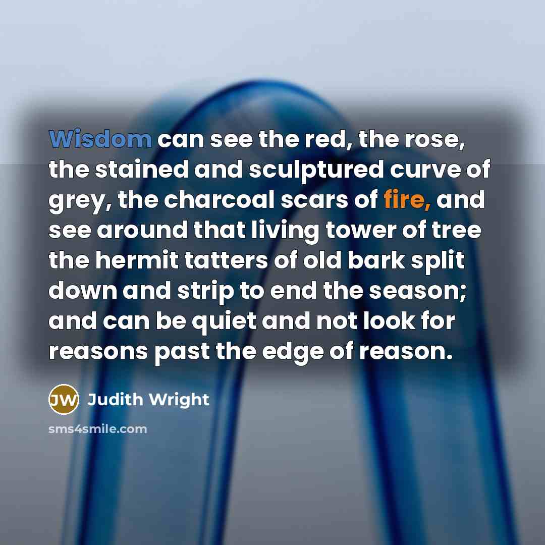 “Wisdom can see the red, the rose, the stained and sculptured curve of grey, the charcoal scars of fire, and see around that living tower of tree the hermit tatters of old bark split down and strip to end the season; and can be quiet and not look for reasons past the edge of reason.” quote by Judith Wright