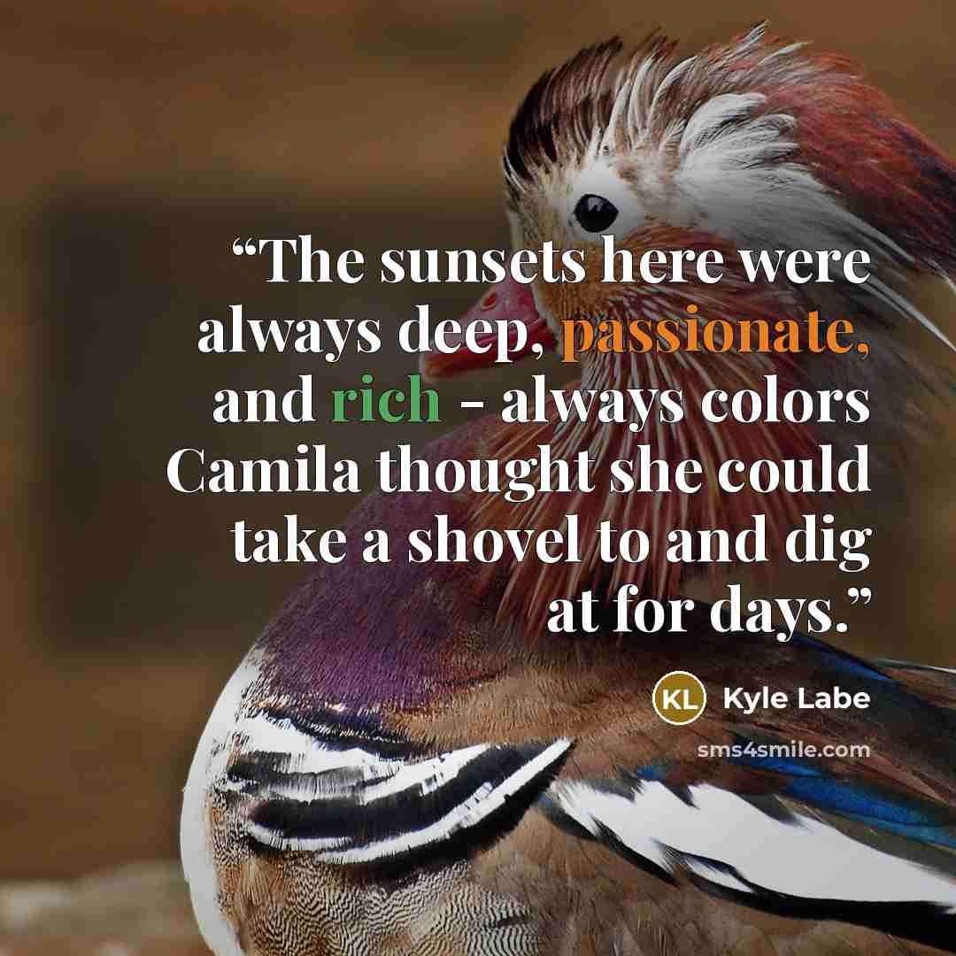 “The sunsets here were always deep, passionate, and rich - always colors Camila thought she could take a shovel to and dig at for days.” quote by Kyle Labe