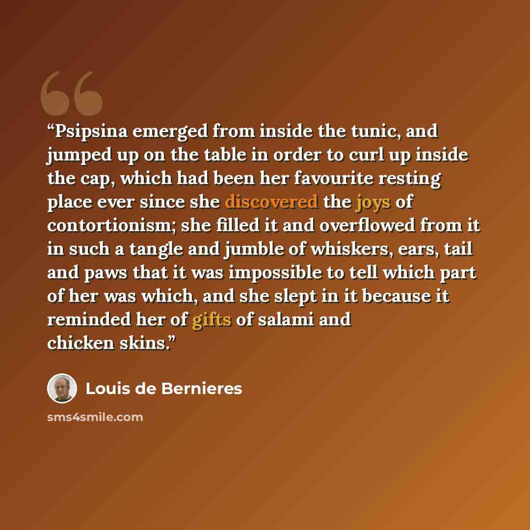 “Psipsina emerged from inside the tunic, and jumped up on the table in order to curl up inside the cap, which had been her favourite resting place ever since she discovered the joys of contortionism; she filled it and overflowed from it in such a tangle and jumble of whiskers, ears, tail and paws…” quote by Louis de Bernières
