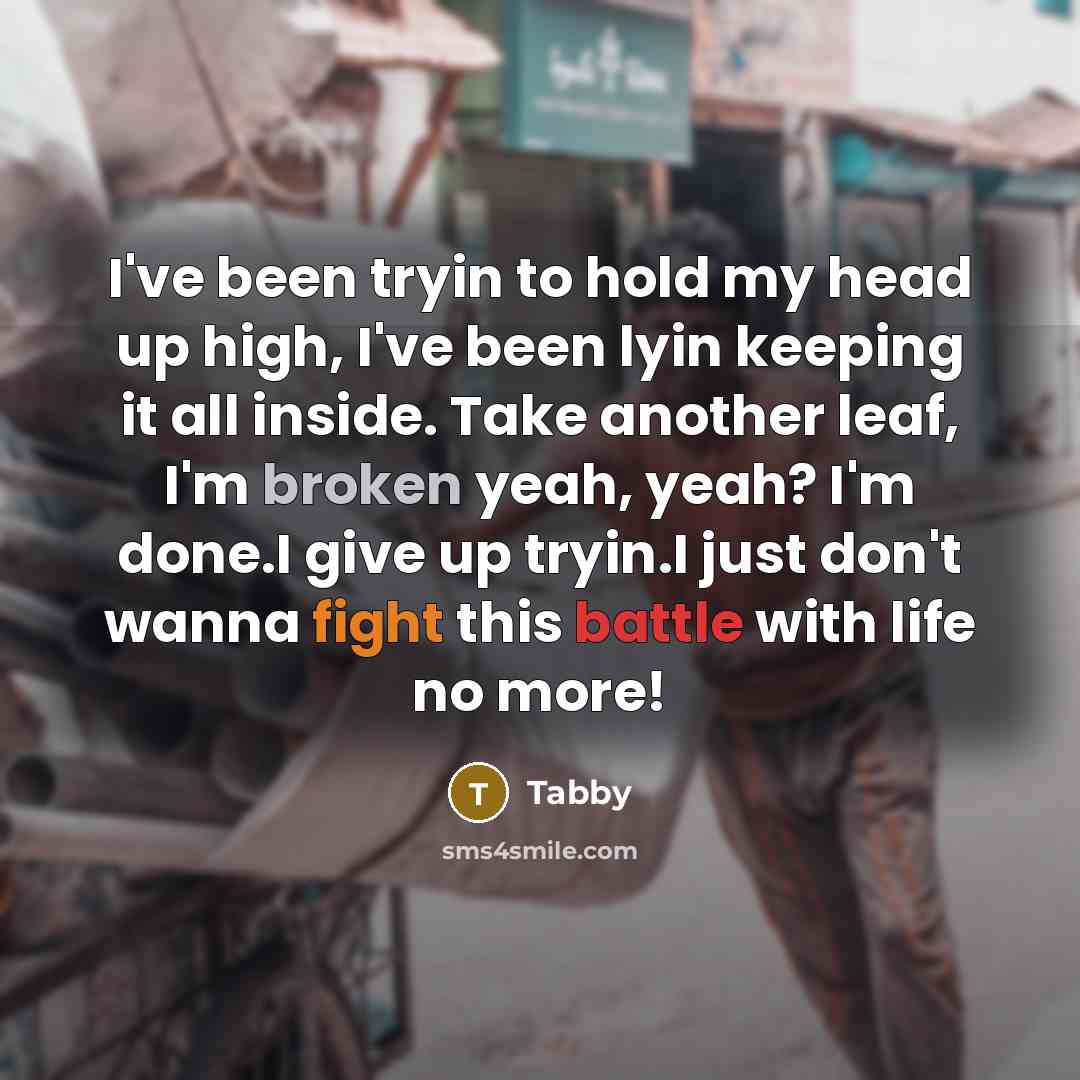 “I've been tryin to hold my head up high, I've been lyin keeping it all inside. Take another leaf, I'm broken yeah, yeah? I'm done.I give up tryin.I just don't wanna fight this battle with life no more!” quote by Tabby