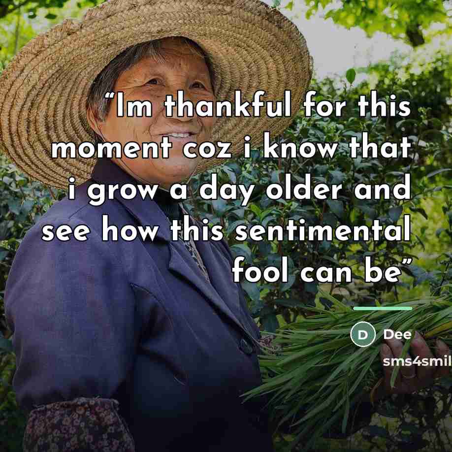 “Im thankful for this moment coz i know that i grow a day older and see how this sentimental fool can be” quote by Dee