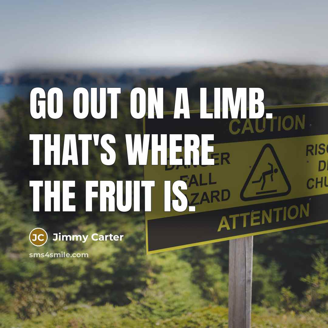 “Go out on a limb. That's where the fruit is.” quote by Jimmy Carter