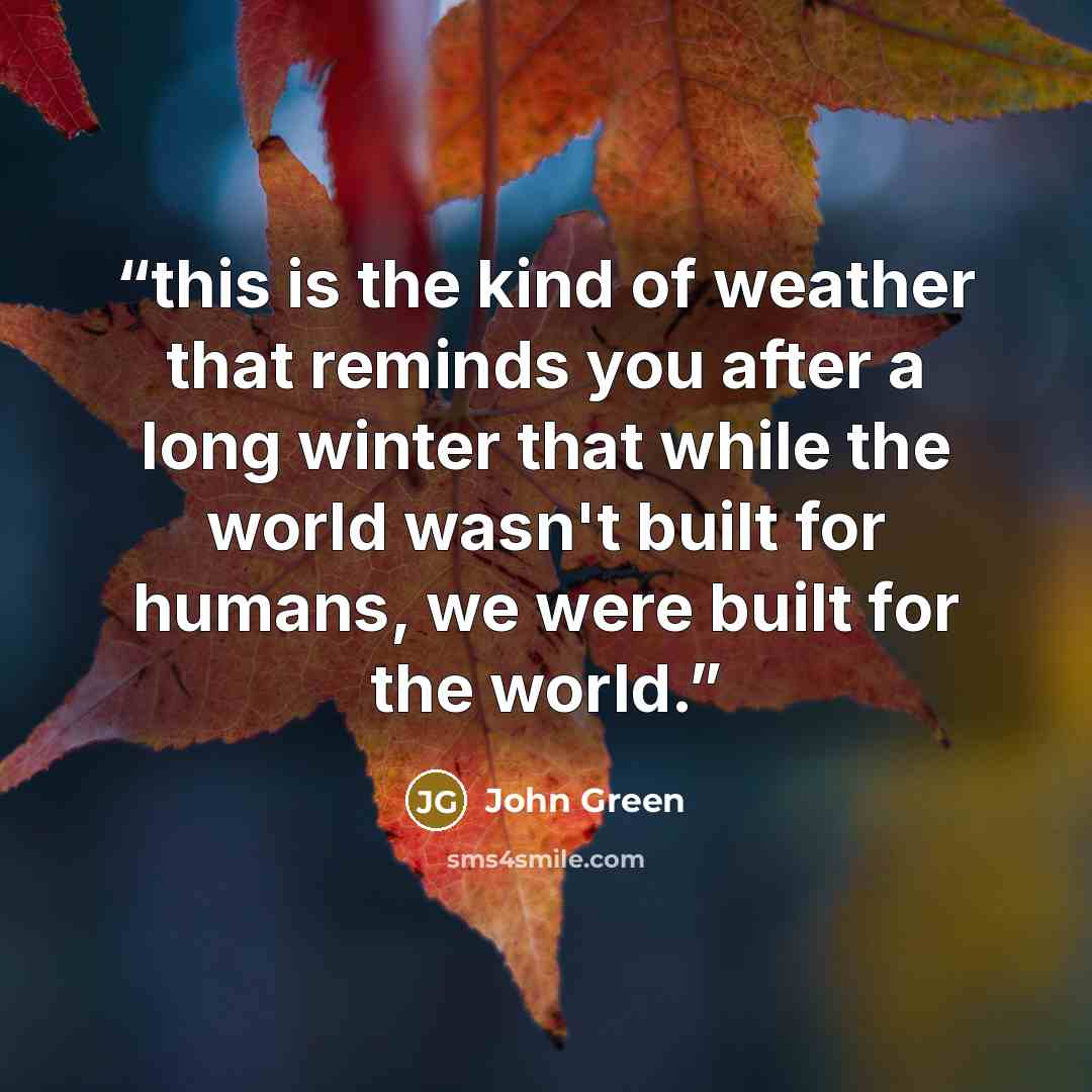 “this is the kind of weather that reminds you after a long winter that while the world wasn't built for humans, we were built for the world.” quote by John Green