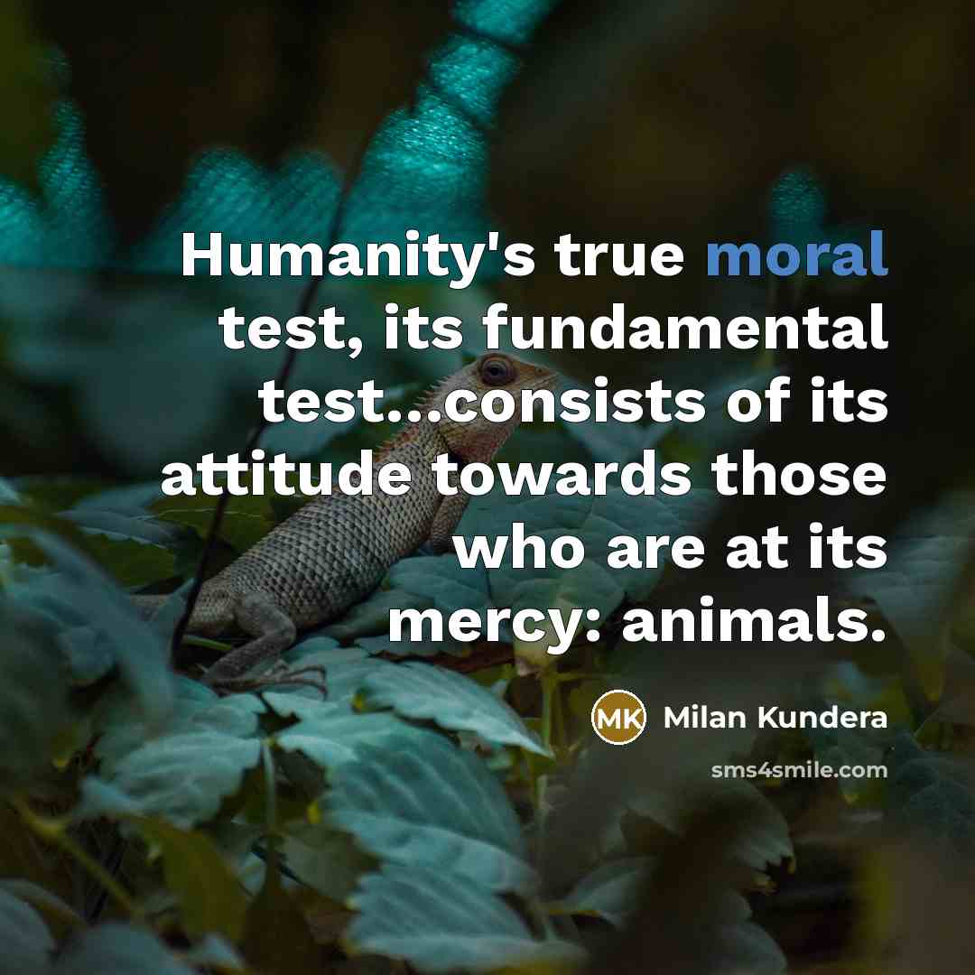 “Humanity's true moral test, its fundamental test…consists of its attitude towards those who are at its mercy: animals.” quote by Milan Kundera