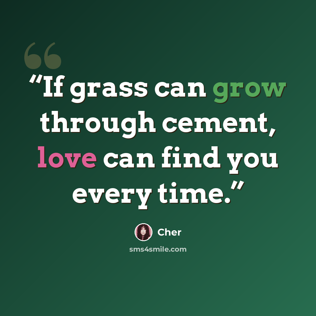 “If grass can grow through cement, love can find you every time.” quote by Cher
