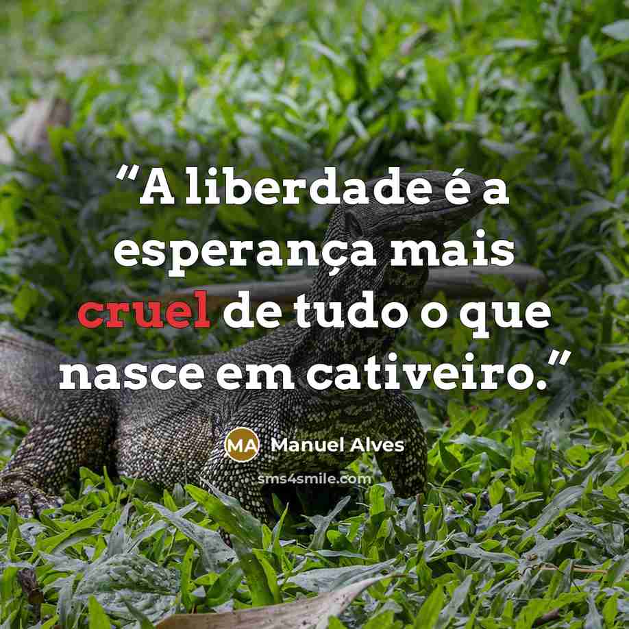 “A liberdade é a esperança mais cruel de tudo o que nasce em cativeiro.” quote by Manuel Alves