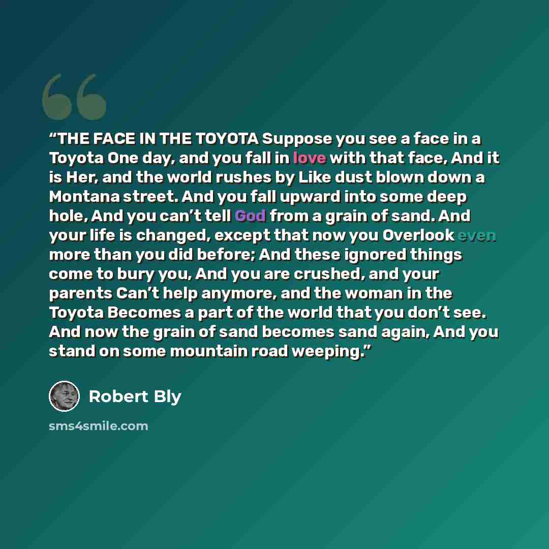 “THE FACE IN THE TOYOTA Suppose you see a face in a Toyota One day, and you fall in love with that face, And it is Her, and the world rushes by Like dust blown down a Montana street. And you fall upward into some deep hole, And you can’t tell God from a grain of sand. And your life is changed…” quote by Robert Bly