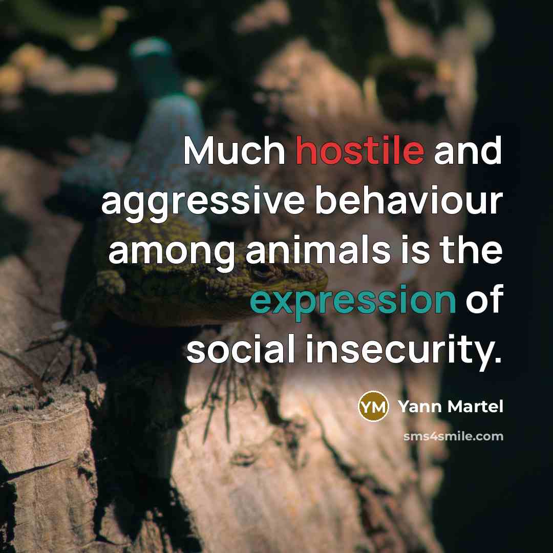 “Much hostile and aggressive behaviour among animals is the expression of social insecurity.” quote by Yann Martel