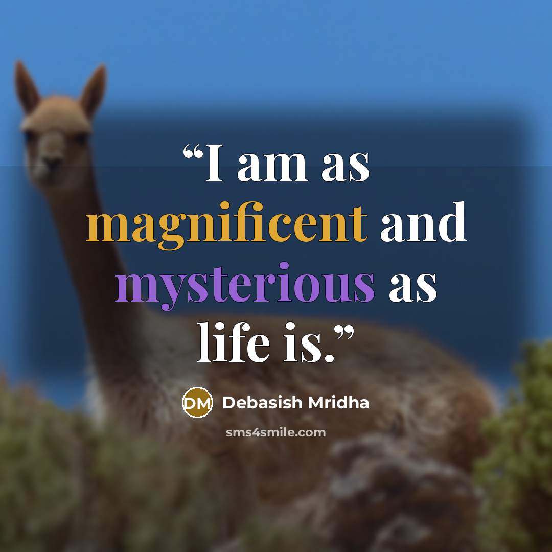 “I am as magnificent and mysterious as life is.” quote by Debasish Mridha