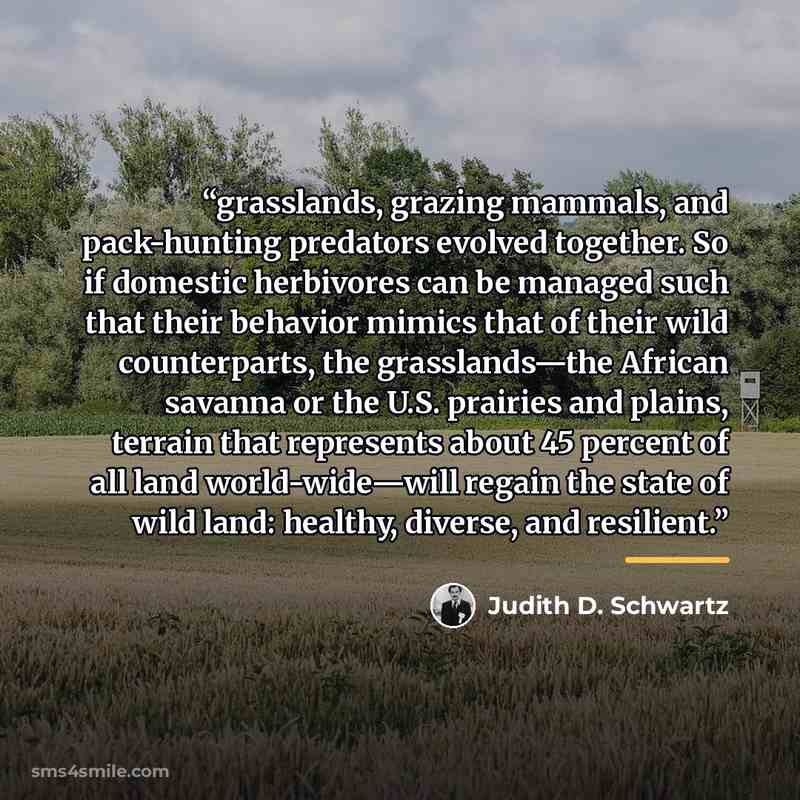 “grasslands, grazing mammals, and pack-hunting predators evolved together. So if domestic herbivores can be managed such that their behavior mimics that of their wild counterparts, the grasslands—the African savanna or the U.S. prairies and plains, terrain that represents about 45 percent of all…” quote by Judith D. Schwartz