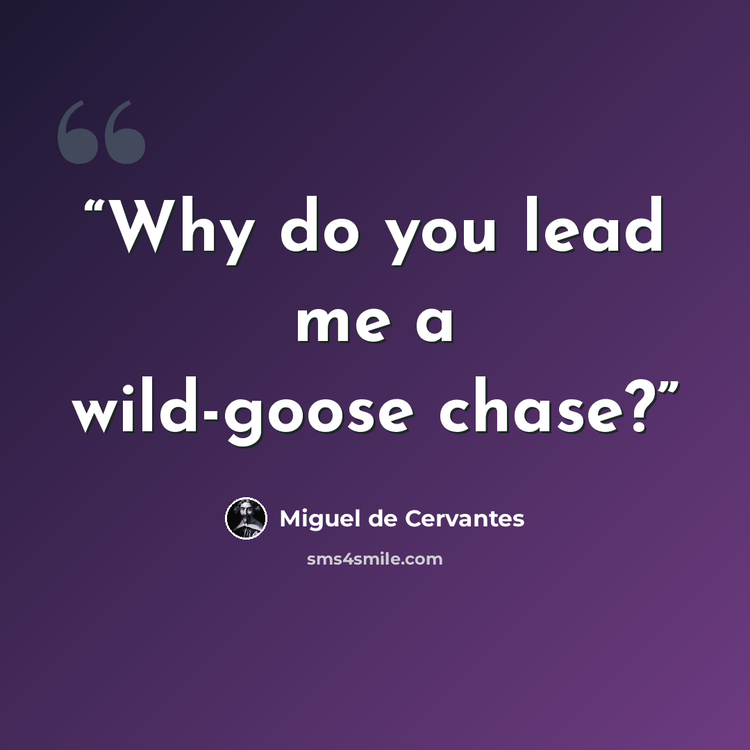 “Why do you lead me a wild-goose chase?” quote by Miguel de Cervantes