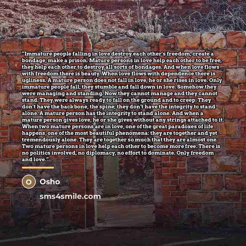 “Immature people falling in love destroy each other’s freedom, create a bondage, make a prison. Mature persons in love help each other to be free; they help each other to destroy all sorts of bondages. And when love flows with freedom there is beauty. When love flows with dependence there is…” quote by Osho
