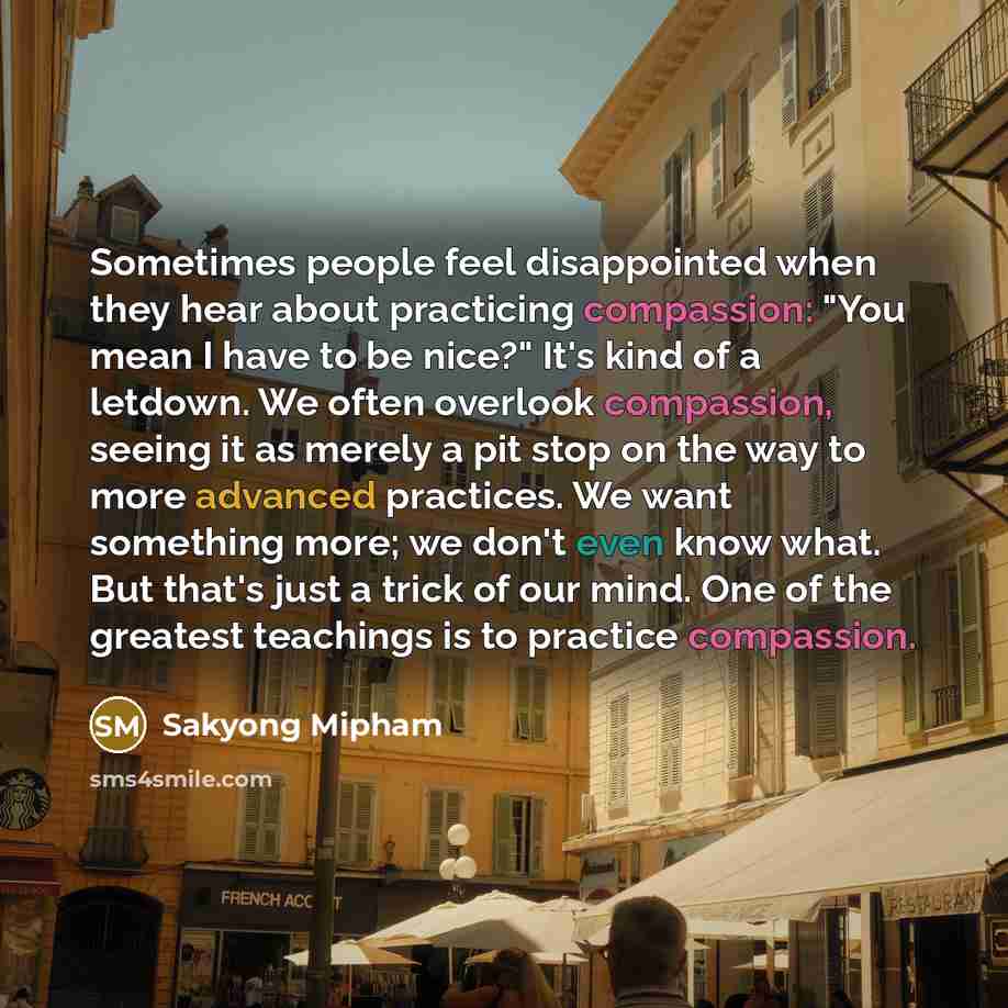 “Sometimes people feel disappointed when they hear about practicing compassion: "You mean I have to be nice?" It's kind of a letdown. We often overlook compassion, seeing it as merely a pit stop on the way to more advanced practices. We want something more; we don't even know what. But that's just…” quote by Sakyong Mipham