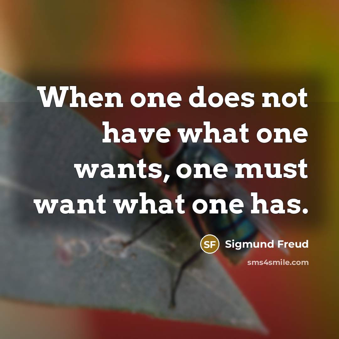 “When one does not have what one wants, one must want what one has.” quote by Sigmund Freud