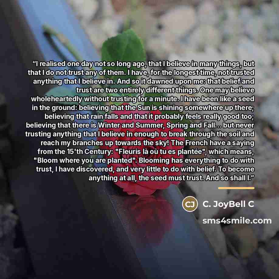 “I realised one day not so long ago, that I believe in many things, but that I do not trust any of them. I have, for the longest time, not trusted anything that I believe in. And so it dawned upon me: that belief and trust are two entirely different things. One may believe wholeheartedly without…” quote by C. JoyBell C