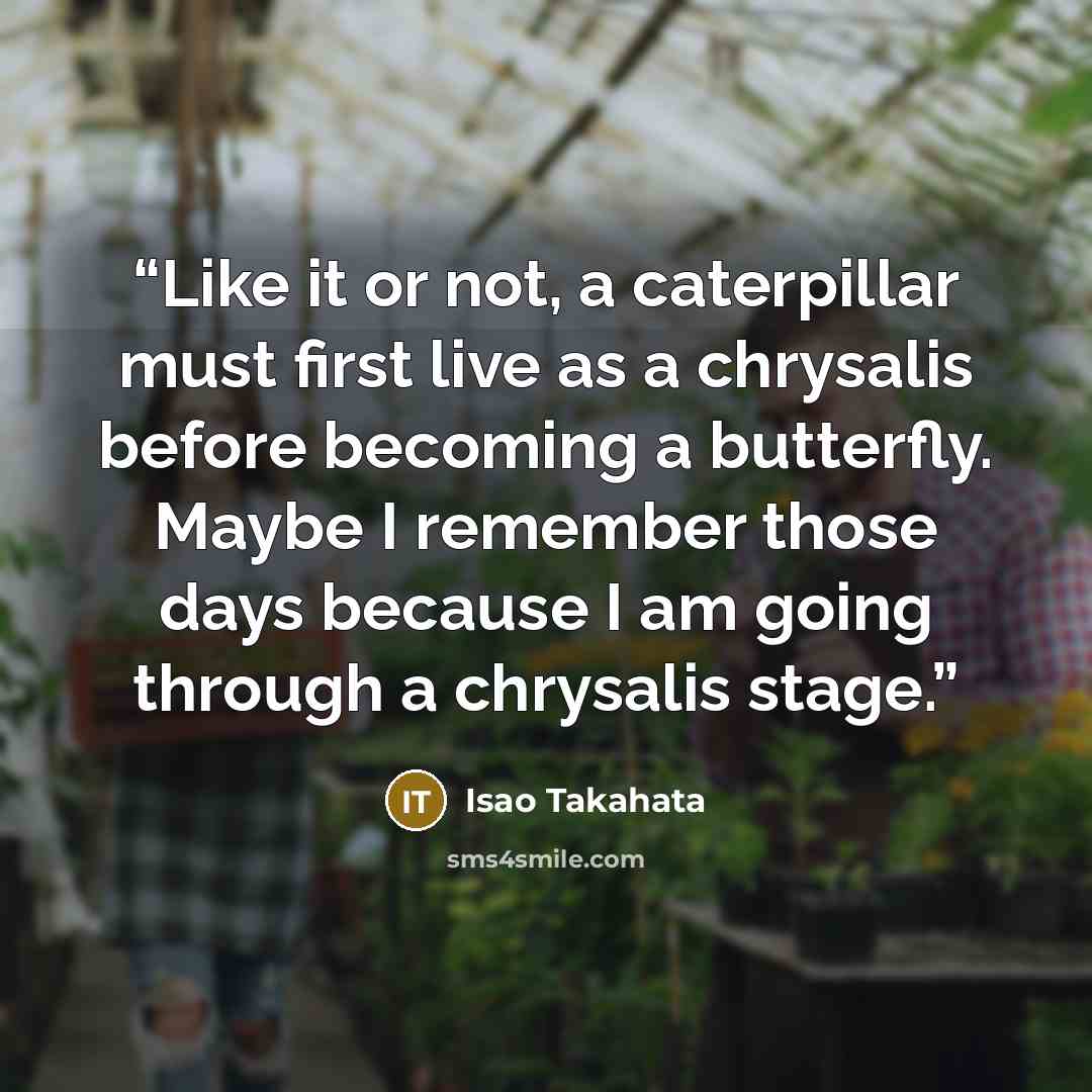 “Like it or not, a caterpillar must first live as a chrysalis before becoming a butterfly. Maybe I remember those days because I am going through a chrysalis stage.” quote by Isao Takahata