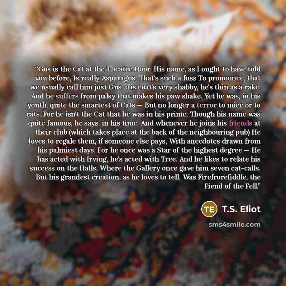 “Gus is the Cat at the Theatre Door. His name, as I ought to have told you before, Is really Asparagus. That's such a fuss To pronounce, that we usually call him just Gus. His coat's very shabby, he's thin as a rake, And he suffers from palsy that makes his paw shake. Yet he was, in his youth…” quote by T.S. Eliot
