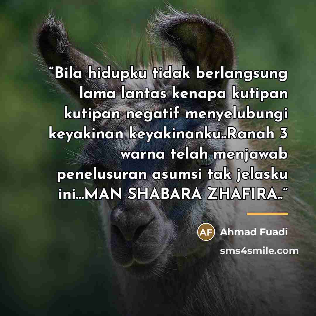 “Bila hidupku tidak berlangsung lama lantas kenapa kutipan kutipan negatif menyelubungi keyakinan keyakinanku..Ranah 3 warna telah menjawab penelusuran asumsi tak jelasku ini...MAN SHABARA ZHAFIRA..” quote by Ahmad Fuadi