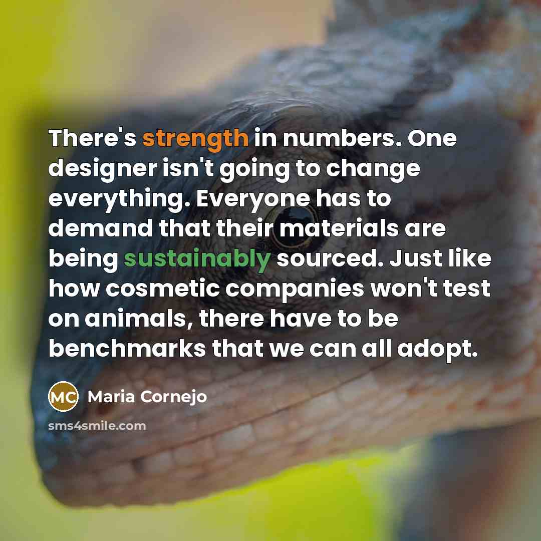 “There's strength in numbers. One designer isn't going to change everything. Everyone has to demand that their materials are being sustainably sourced. Just like how cosmetic companies won't test on animals, there have to be benchmarks that we can all adopt.” quote by Maria Cornejo