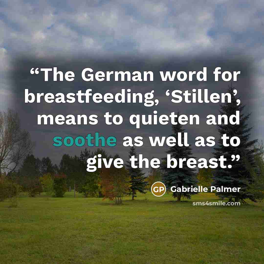 “The German word for breastfeeding, ‘Stillen’, means to quieten and soothe as well as to give the breast.” quote by Gabrielle Palmer