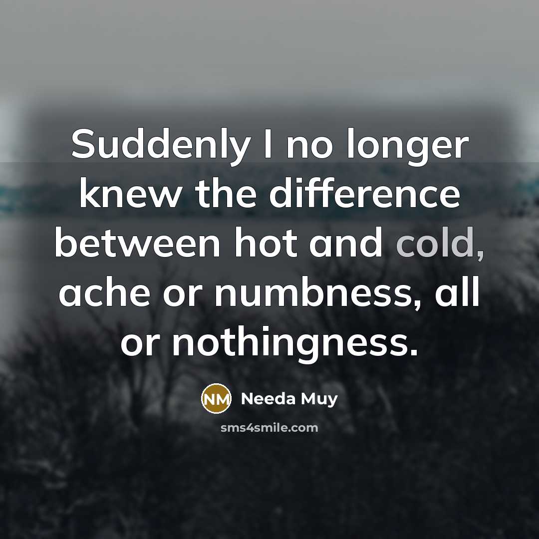 “Suddenly I no longer knew the difference between hot and cold, ache or numbness, all or nothingness.” quote by Needa Muy