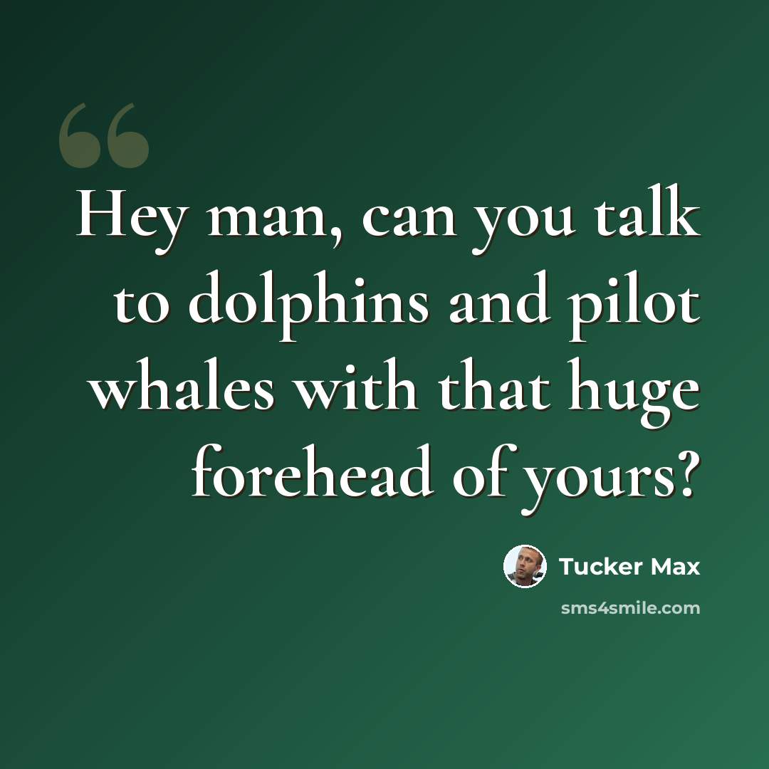“Hey man, can you talk to dolphins and pilot whales with that huge forehead of yours?” quote by Tucker Max