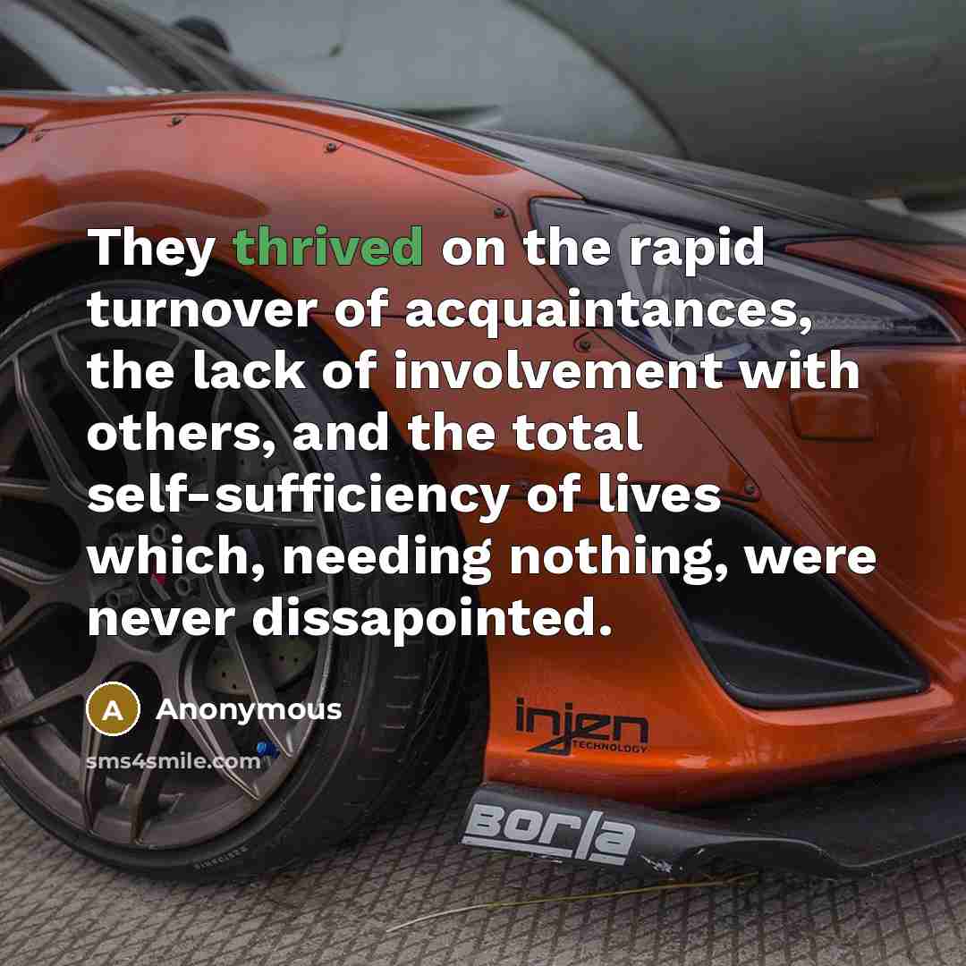 “They thrived on the rapid turnover of acquaintances, the lack of involvement with others, and the total self-sufficiency of lives which, needing nothing, were never dissapointed.” quote by Anonymous