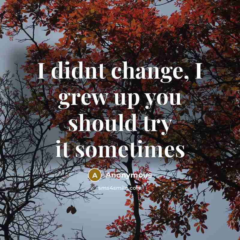 “I didnt change, I grew up you should try it sometimes” quote by Anonymous