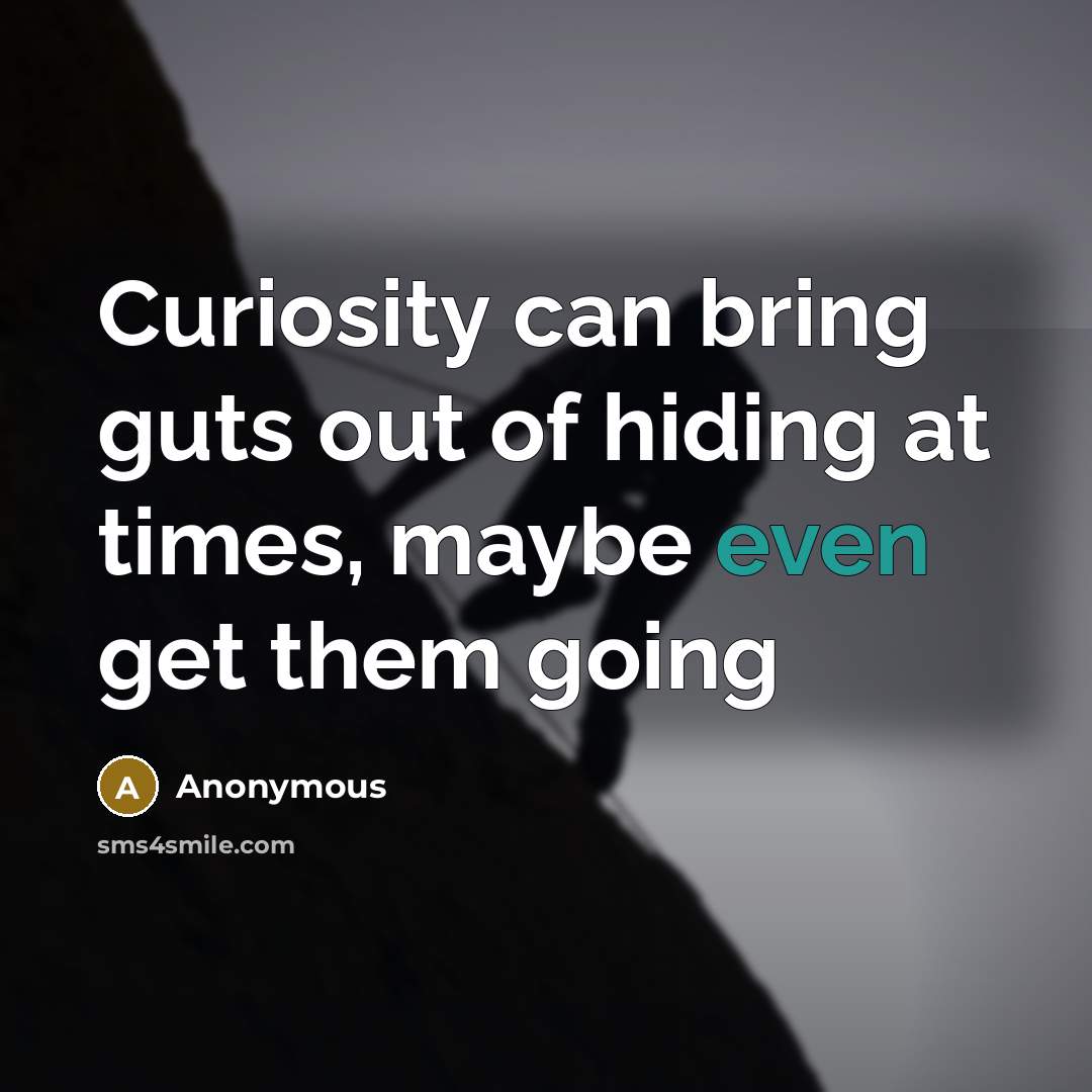 “Curiosity can bring guts out of hiding at times, maybe even get them going” quote by Anonymous