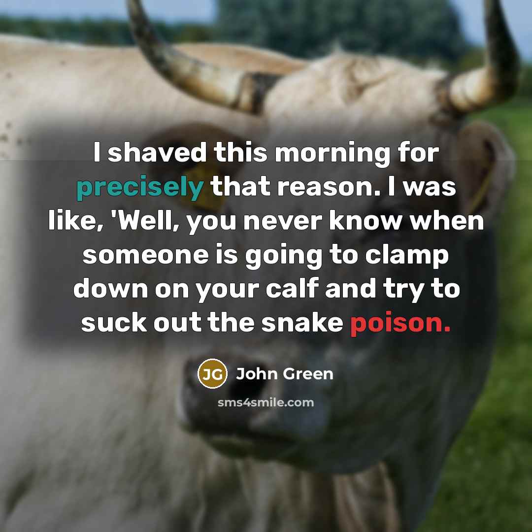 “I shaved this morning for precisely that reason. I was like, 'Well, you never know when someone is going to clamp down on your calf and try to suck out the snake poison.” quote by John Green