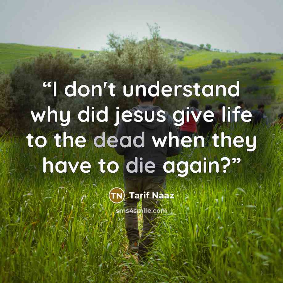 “I don't understand why did jesus give life to the dead when they have to die again?” quote by Tarif Naaz