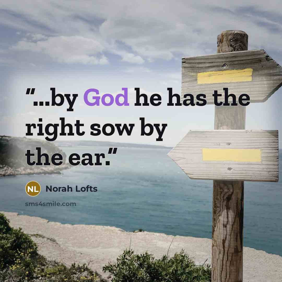 “...by God he has the right sow by the ear.” quote by Norah Lofts