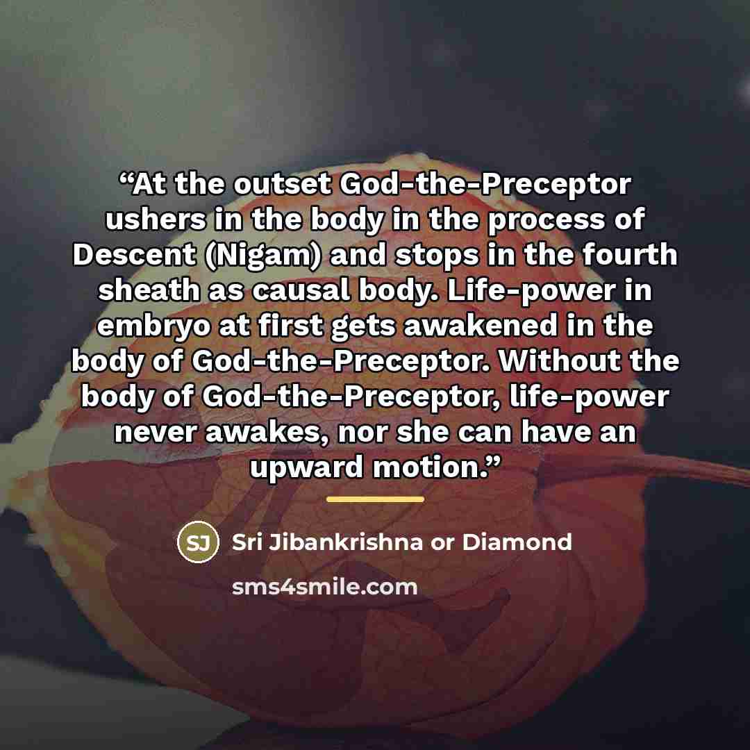 “At the outset God-the-Preceptor ushers in the body in the process of Descent (Nigam) and stops in the fourth sheath as causal body. Life-power in embryo at first gets awakened in the body of God-the-Preceptor. Without the body of God-the-Preceptor, life-power never awakes, nor she can have an…” quote by Sri Jibankrishna or Diamond