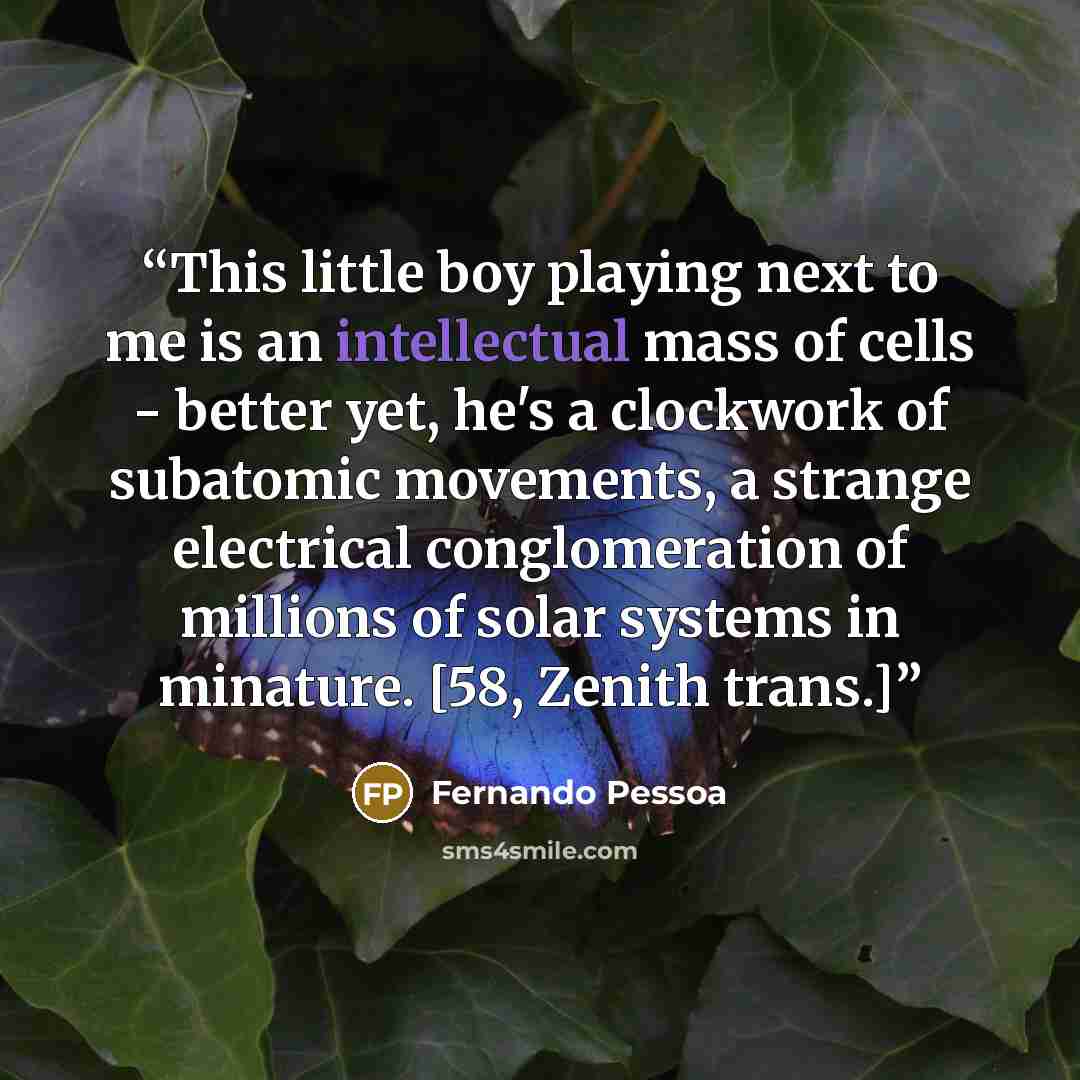 “This little boy playing next to me is an intellectual mass of cells - better yet, he's a clockwork of subatomic movements, a strange electrical conglomeration of millions of solar systems in minature. [58, Zenith trans.]” quote by Fernando Pessoa