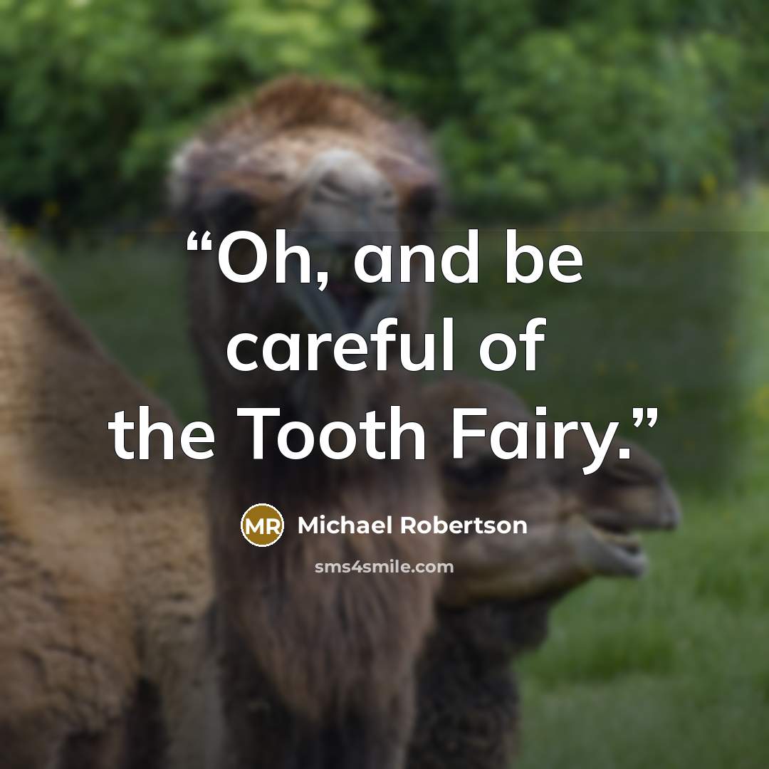 “Oh, and be careful of the Tooth Fairy.” quote by Michael Robertson