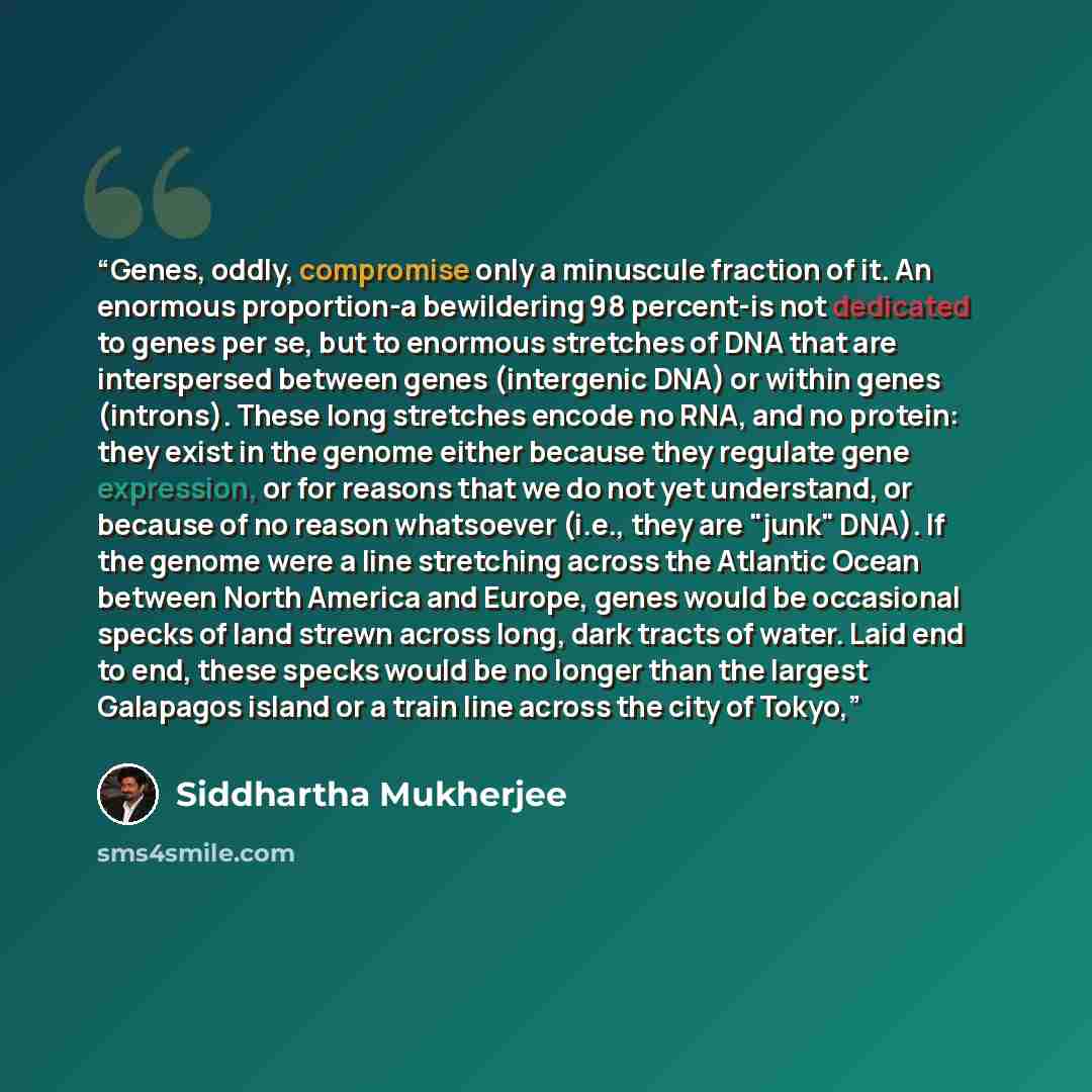 “Genes, oddly, compromise only a minuscule fraction of it. An enormous proportion-a bewildering 98 percent-is not dedicated to genes per se, but to enormous stretches of DNA that are interspersed between genes (intergenic DNA) or within genes (introns). These long stretches encode no RNA, and no…” quote by Siddhartha Mukherjee