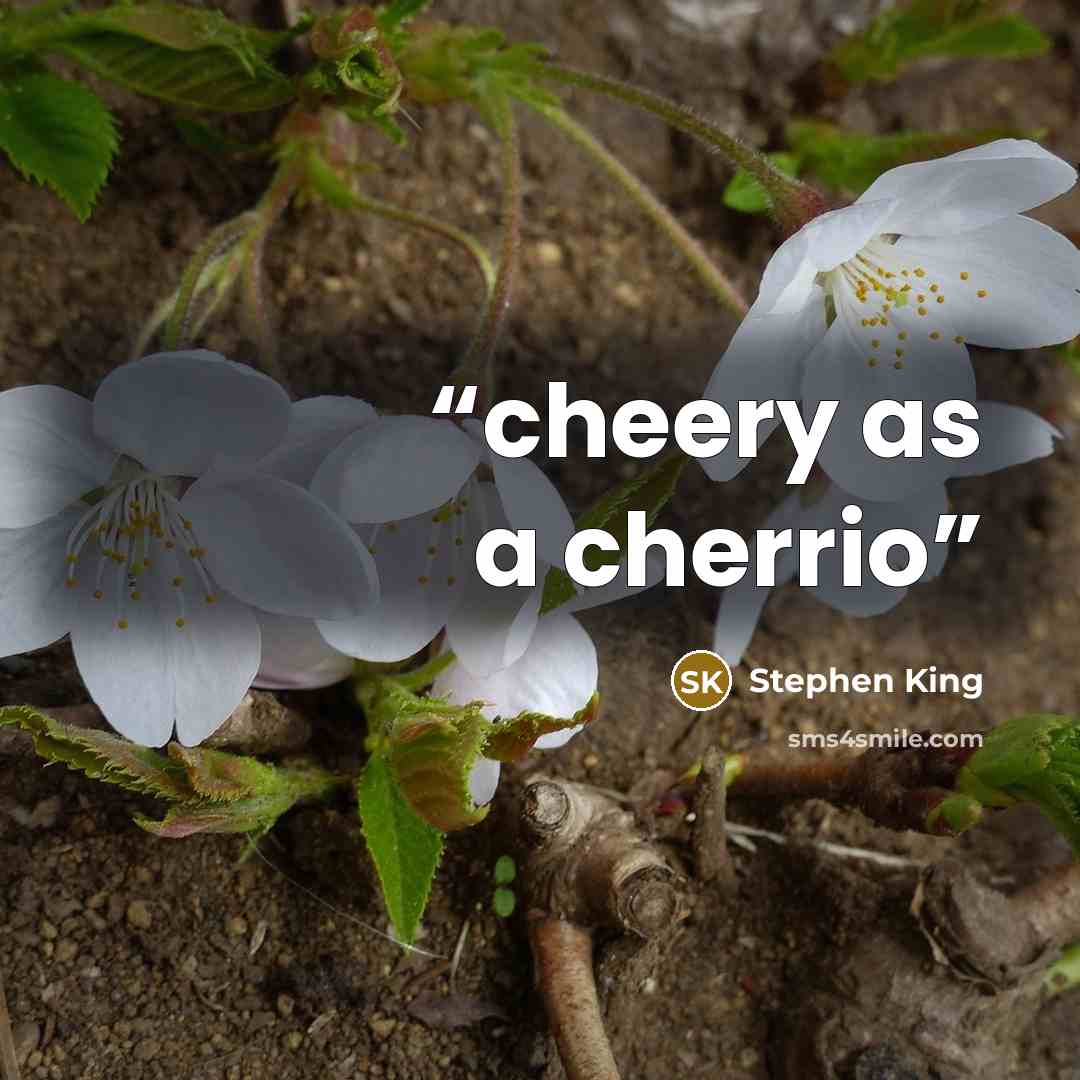 “cheery as a cherrio” quote by stephen king