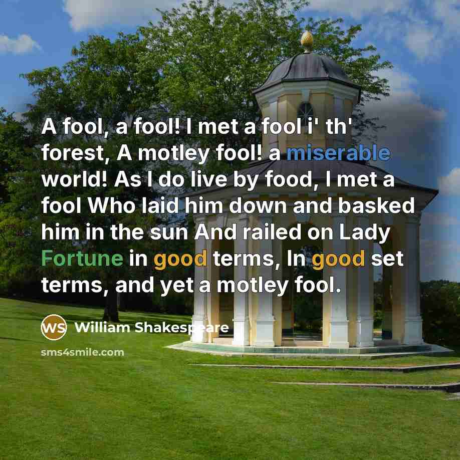 “A fool, a fool! I met a fool i' th' forest, A motley fool! a miserable world! As I do live by food, I met a fool Who laid him down and basked him in the sun And railed on Lady Fortune in good terms, In good set terms, and yet a motley fool.” quote by William Shakespeare