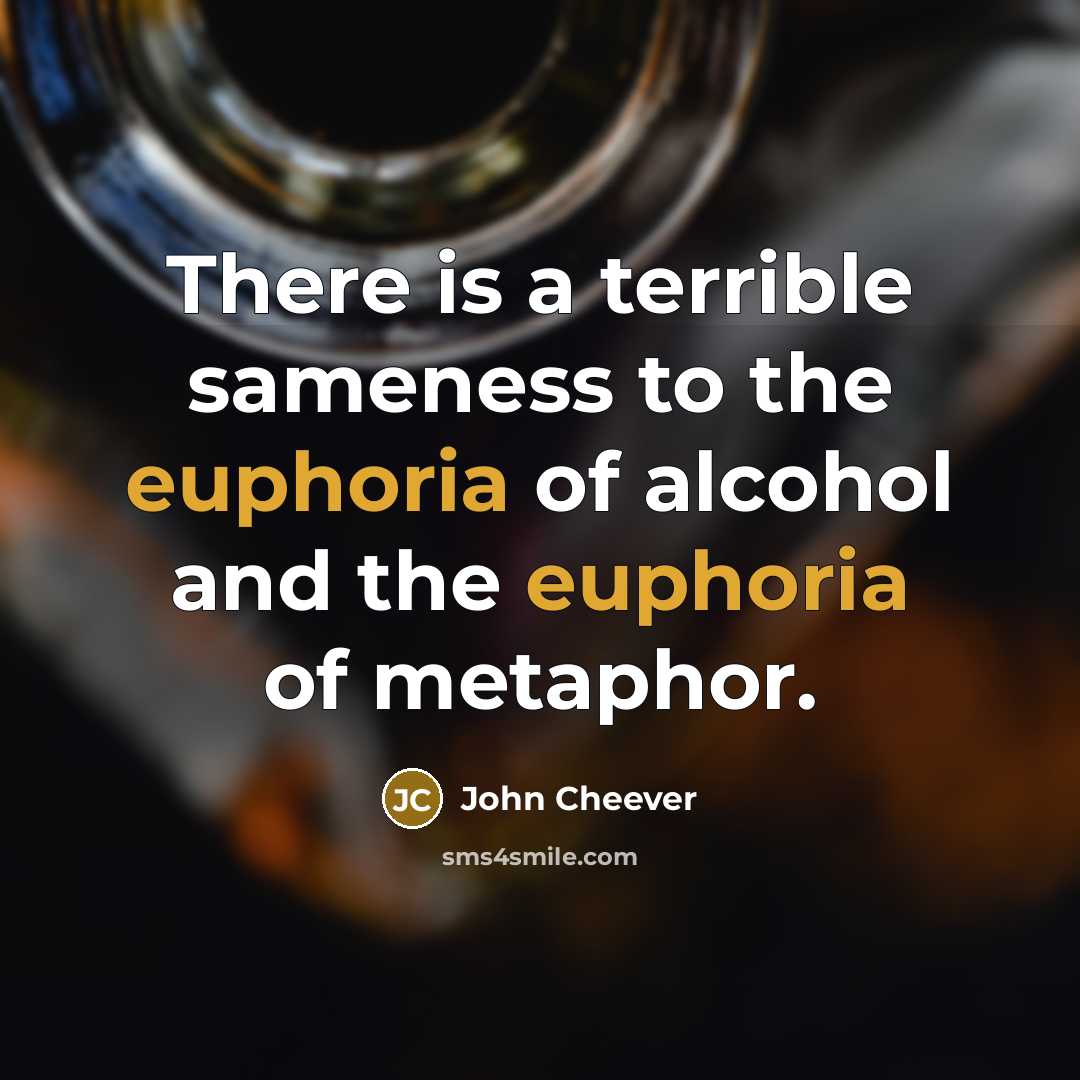 “There is a terrible sameness to the euphoria of alcohol and the euphoria of metaphor.” quote by John Cheever
