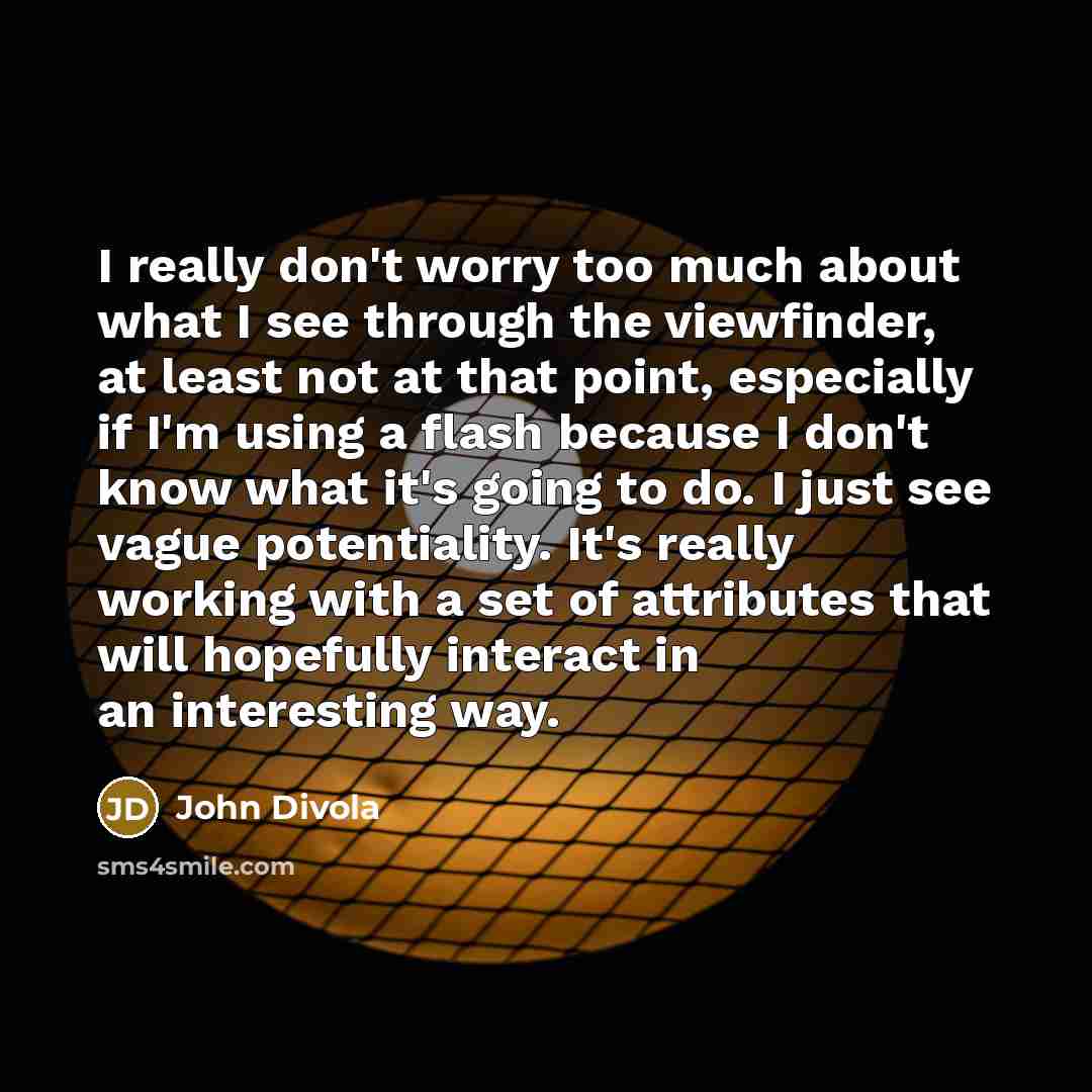 “I really don't worry too much about what I see through the viewfinder, at least not at that point, especially if I'm using a flash because I don't know what it's going to do. I just see vague potentiality. It's really working with a set of attributes that will hopefully interact in an interesting…” quote by John Divola